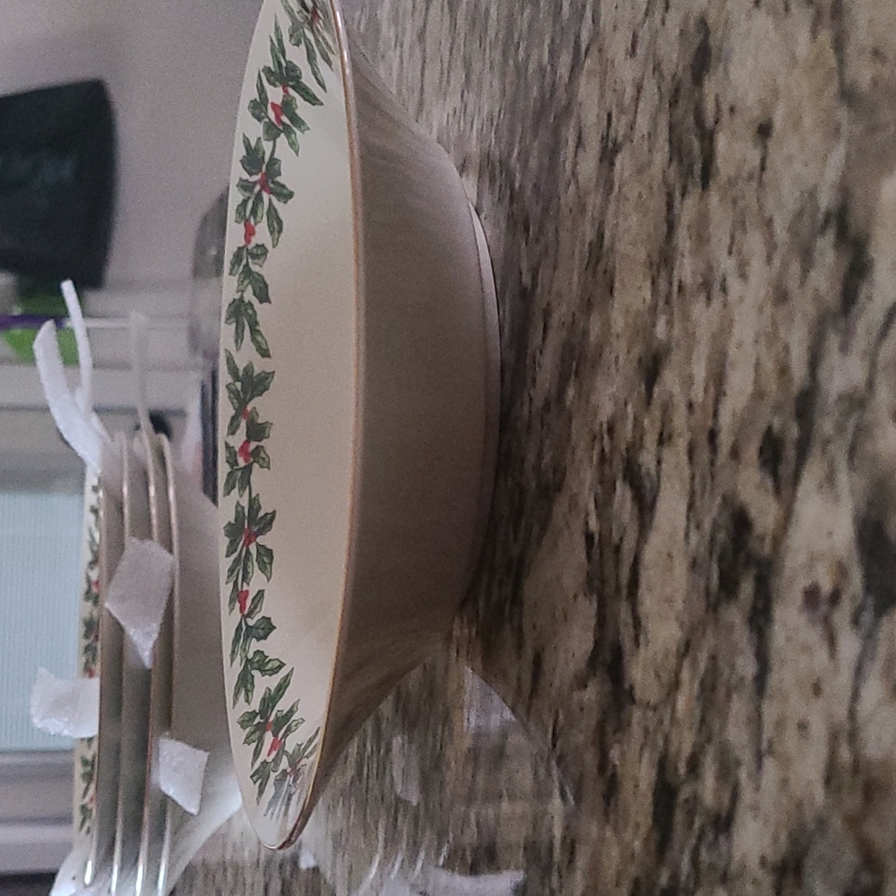 Salad/Soup bowls Holly Collection by Baum Bros